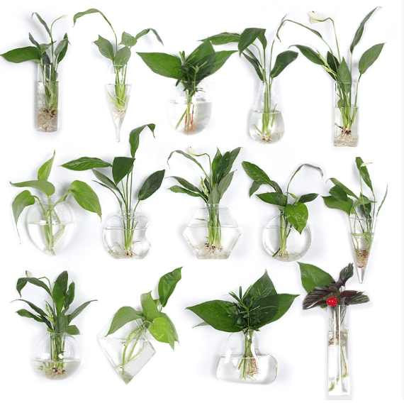 High borosilicate hydroponic vase